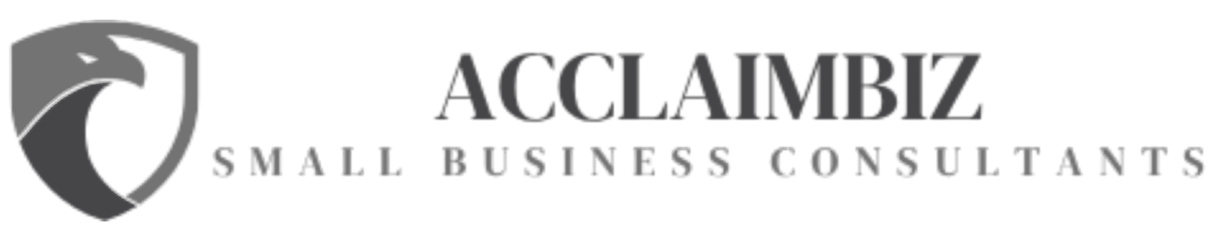 Small Business Consultants